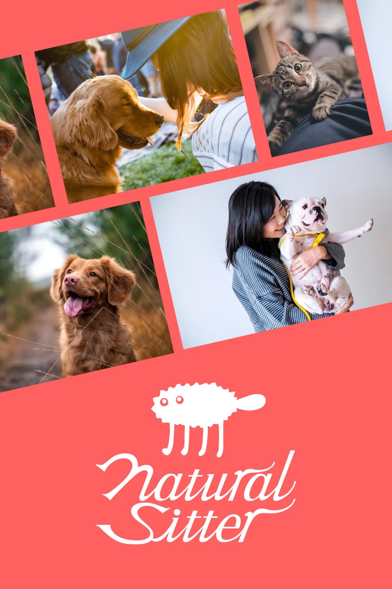 Natural Sitter: a pet sitting marketplace