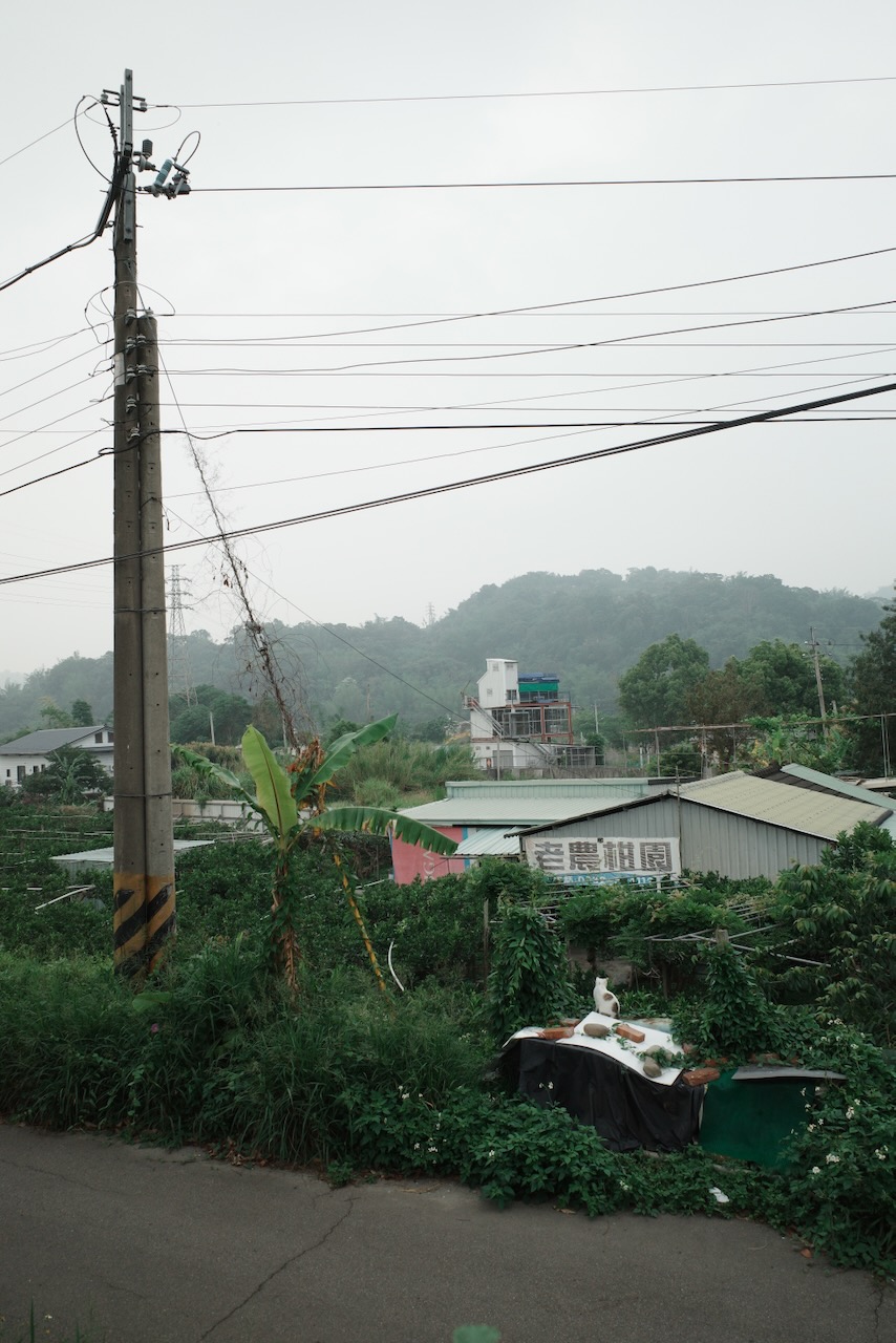 A rural scene in central Taiwan.