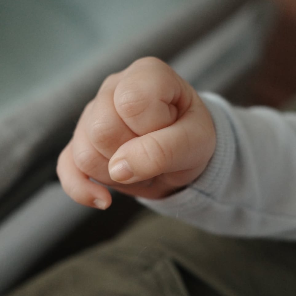 Image thumbnail for blog post 'The family grows'